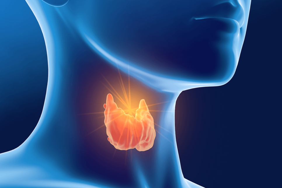 Unraveling the Thyroiditis Mystery: What Your Body is Trying to Tell You